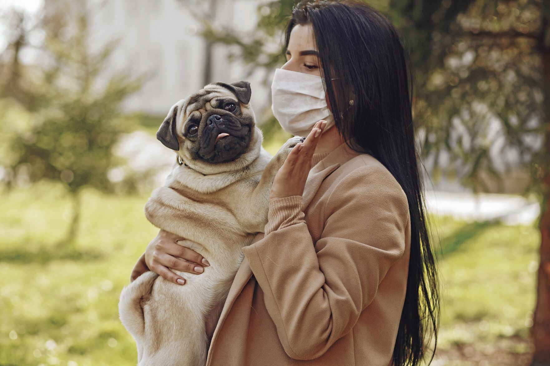 woman-in-brown-coat-holding-fawn-pug-4148825_CMYK.jpg
